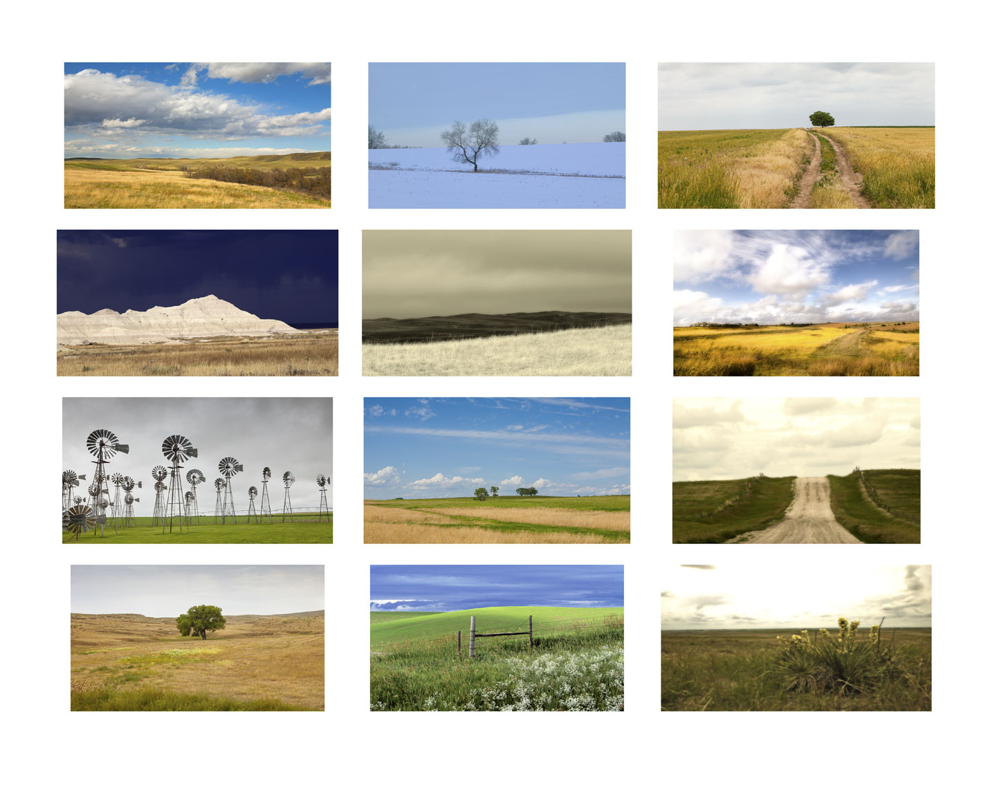 027_Landscapes-Typology