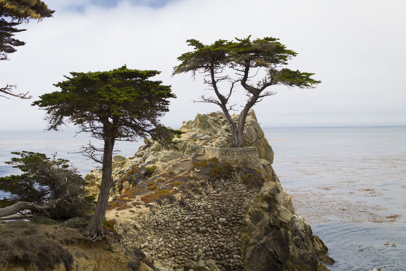 WestCoast_020_Carmel_0718